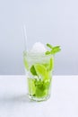 Fresh mojito made of citrus fruit and mint leaves Royalty Free Stock Photo