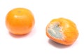 Fresh and moldy mandarins on white background Royalty Free Stock Photo