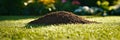 A Fresh Molehill Cast On Lush Green Grass Under Sunlight, Pest Control And Gardening Concept Royalty Free Stock Photo