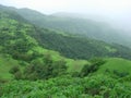 Fresh Monsoon Landscape Royalty Free Stock Photo