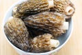 Fresh Morchella esculenta in porcelain bowl