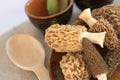 Fresh morel mushrooms Royalty Free Stock Photo