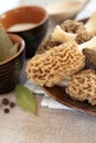 Fresh morel mushrooms Royalty Free Stock Photo