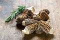 Fresh Morels Mushrooms Royalty Free Stock Photo