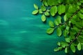 Fresh moringa leaves on blue background. Top view with copy space. AI generated