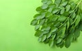 Fresh moringa leaves on green