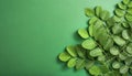 Fresh moringa leaves on green gradient background