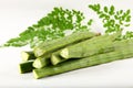 Fresh moringa oleifera fruit and leaves. Royalty Free Stock Photo