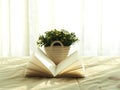 Fresh morning book and flower on the bed, select focus