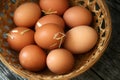 Farm Fresh Brown Eggs in Basket with Straw, Gathering Rustic Farmhouse Countryside Vintage Homestead Royalty Free Stock Photo