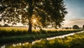 Fresh Morning Light in the Idyllic Countryside