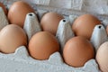 Fresh morning and organic chicken eggs in a carton box Royalty Free Stock Photo