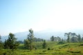 A fresh morning at tea garden Royalty Free Stock Photo