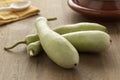 Fresh Moroccan bottle gourds Royalty Free Stock Photo