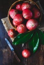 Fresh Mountain Apples Royalty Free Stock Photo