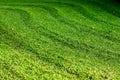 Fresh mowed grass lawn green background. Fresh cut grass. Trace of clippings Royalty Free Stock Photo