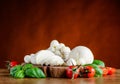 Fresh Mozzarella Cheese Balls Royalty Free Stock Photo
