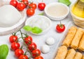 Fresh Mozzarella cheese on vintage chopping board with tomatoes and basil leaf with olive oil and tray with cheese sticks on stone Royalty Free Stock Photo