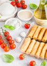 Fresh Mozzarella cheese on vintage chopping board with tomatoes and basil leaf with olive oil and tray with cheese sticks on stone Royalty Free Stock Photo