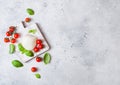 Fresh Mozzarella cheese on vintage chopping board with tomatoes and basil leaf on stone kitchen table background. Space for text Royalty Free Stock Photo