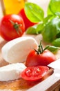 Fresh mozzarella with tomato and basil