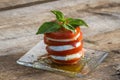 Fresh mozzarella and tomato salad Royalty Free Stock Photo