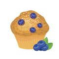 Delicious blueberry muffin icon vector