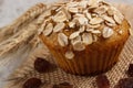 Fresh muffin with oatmeal baked with wholemeal flour and ears of rye grain, delicious healthy dessert Royalty Free Stock Photo