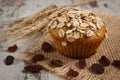 Fresh muffin with oatmeal baked with wholemeal flour and ears of rye grain, delicious healthy dessert Royalty Free Stock Photo