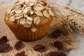 Fresh muffin with oatmeal baked with wholemeal flour and ears of rye grain, delicious healthy dessert Royalty Free Stock Photo