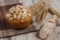 Fresh muffin with oatmeal, rye flour and ears of rye grain, delicious healthy dessert Royalty Free Stock Photo