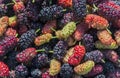 Fresh mulberry berry closeup fruit