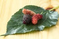 Fresh mulberry, black ripe and red unripe mulberries on wooden b Royalty Free Stock Photo