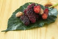 Fresh mulberry, black ripe and red unripe mulberries on wooden b Royalty Free Stock Photo