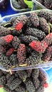 Fresh Mulberry Fruit Closeup