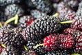 Fresh mulberry fruit closeup Royalty Free Stock Photo