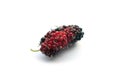 A fresh mulberry fruit closeup Royalty Free Stock Photo