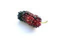 Fresh mulberry fruit on white background Royalty Free Stock Photo