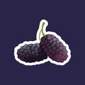 fresh mulberry icon tasty ripe fruit berry healthy food concept