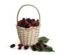 Fresh mulberry with leaf in a basket isolated on white background.