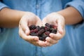 Fresh mulberry on woman hand ready to eat