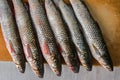 Fresh mullet on a wooden cutting board Royalty Free Stock Photo