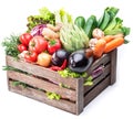 Fresh multi-colored vegetables in wooden crate.