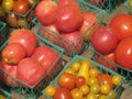Fresh multiple varieties of tomatoes in containers Royalty Free Stock Photo