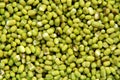 Fresh Mung Bean