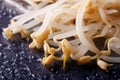 Fresh mung bean sprouts macro. horizontal