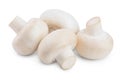 Fresh mushroom champignon isolated on white background with clipping path Royalty Free Stock Photo