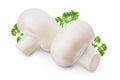 Fresh mushroom champignon isolated on white background with clipping path Royalty Free Stock Photo