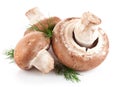 Fresh mushroom champignon with twig dill