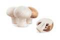 Fresh mushroom champignon on white background Royalty Free Stock Photo
